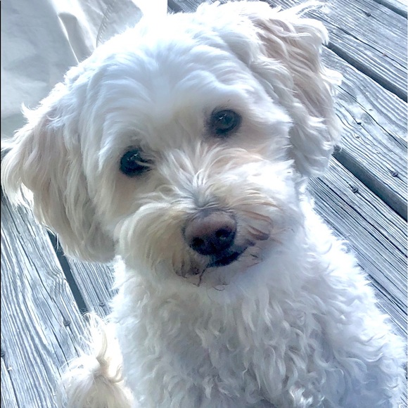 Enjoy Momma’s Closet? We ❤️ that you came by❣️ - Picture 3 of 8